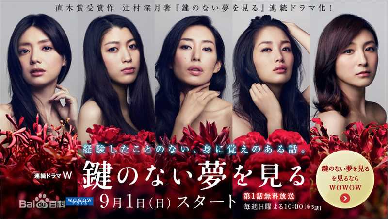 最全成海璃子(なるみ りこ/ Riko Narumi/塚本璃子（本名）)壁纸