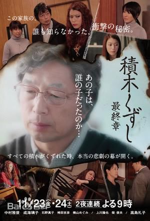 最全成海璃子(なるみ りこ/ Riko Narumi/塚本璃子（本名）)壁纸