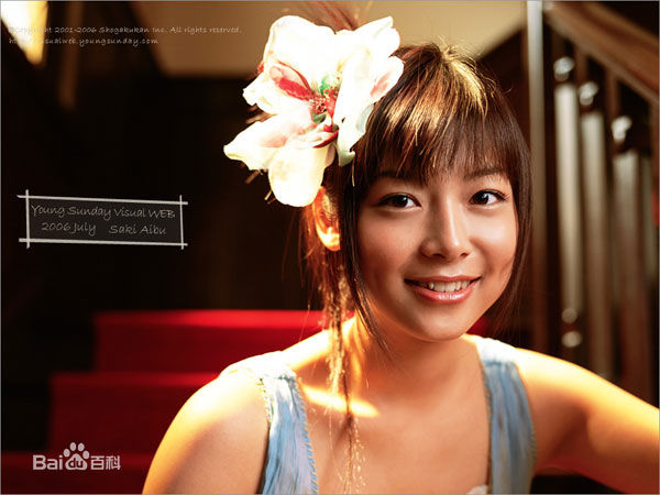 精选相武纱季(Saki Aibu)精彩图册