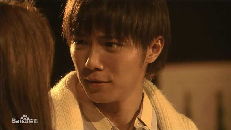 成宫宽贵(成宮寛貴（Hiroki Narimiya、なりみや ひろき）)《蜂蜜与四叶草》最全剧照