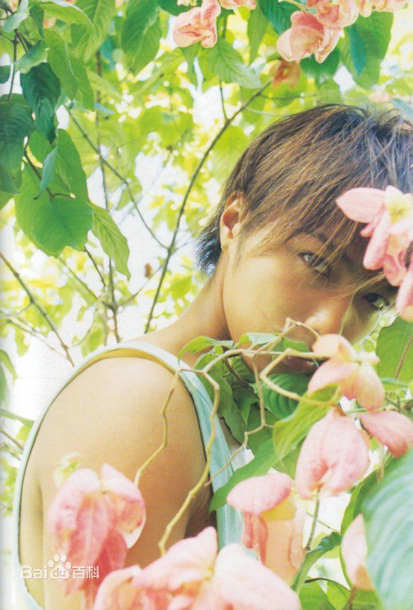 最优质成宫宽贵(成宮寛貴（Hiroki Narimiya、なりみや ひろき）)精彩图册