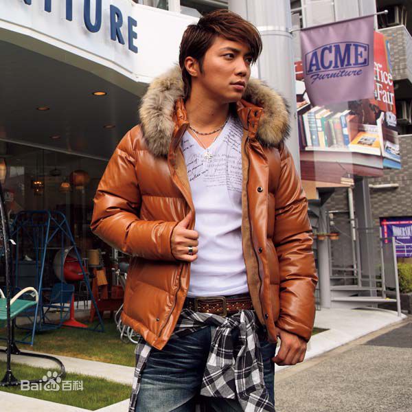 成宫宽贵(成宮寛貴（Hiroki Narimiya、なりみや ひろき）)精彩图册