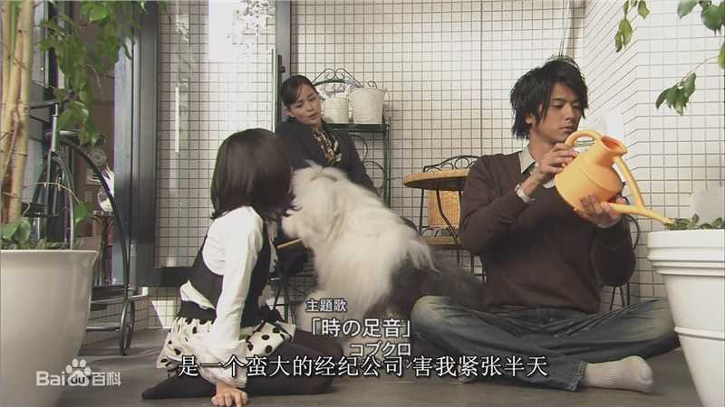 速水重道(速水もこみち、Mocomichi Hayami)oh my girl !!! -截图-1280X720P前后照片