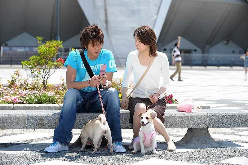 速水重道(速水もこみち、Mocomichi Hayami)恋爱工作人壁纸壁纸