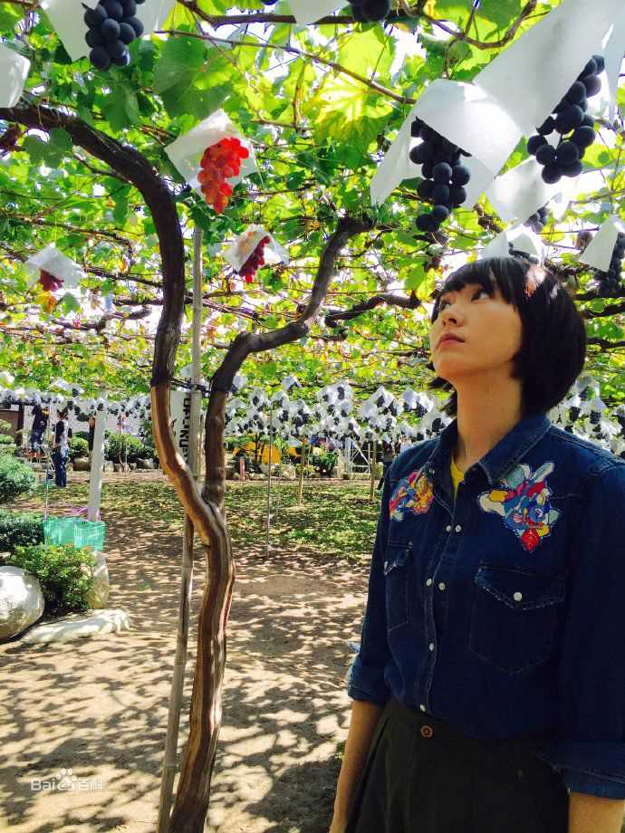 新垣结衣(新垣結衣（あらがき ゆい）、Aragaki Yui)非正式生活照相册