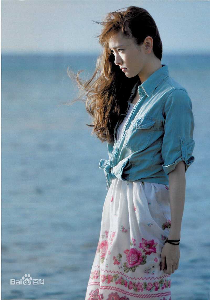 高清新垣结衣(新垣結衣（あらがき ゆい）、Aragaki Yui)精彩图册