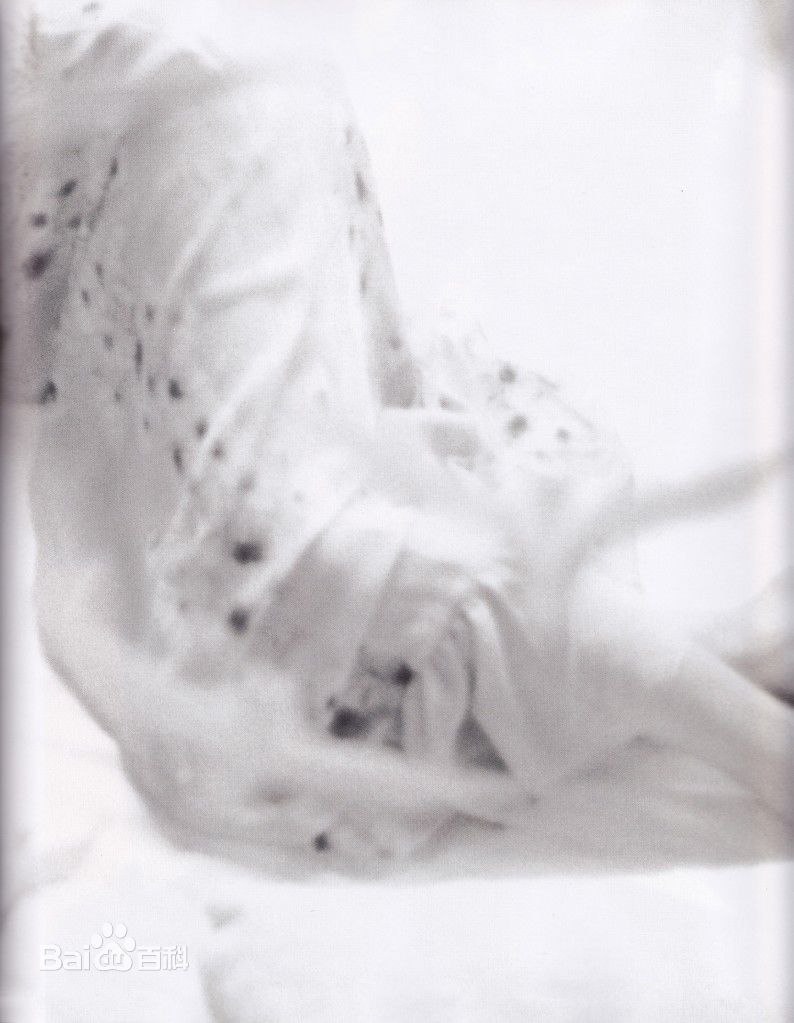 高清新垣结衣(新垣結衣（あらがき ゆい）、Aragaki Yui)精彩图册