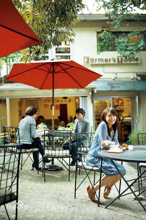 高清新垣结衣(新垣結衣（あらがき ゆい）、Aragaki Yui)精彩图册