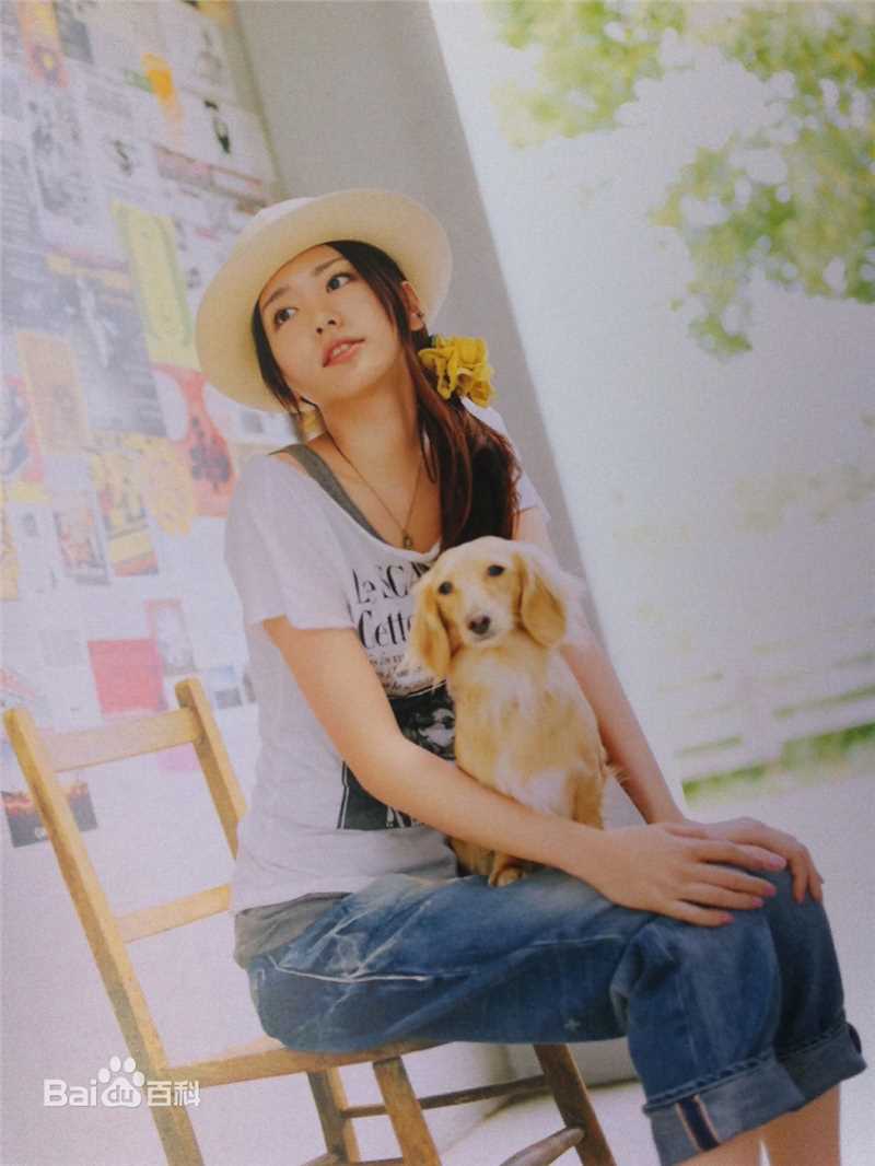 新垣结衣(新垣結衣（あらがき ゆい）、Aragaki Yui)精彩图册