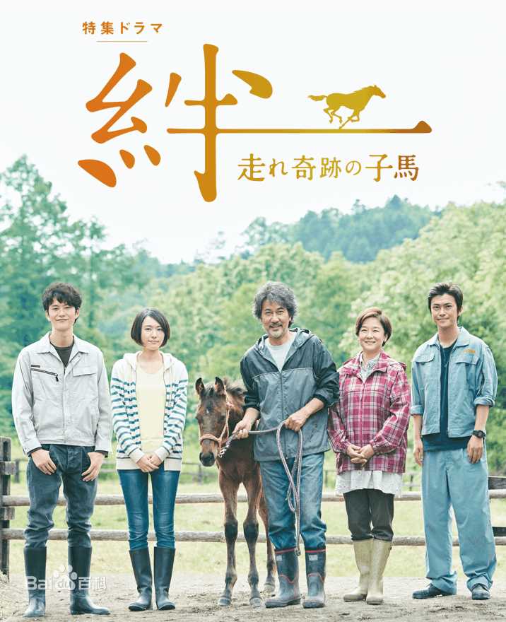 精选新垣结衣(新垣結衣（あらがき ゆい）、Aragaki Yui)