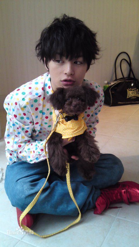 最新濑户康史(瀬戸康史（せと こうじ、Seto Kouji）)性感图片