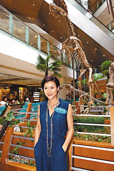 陈茵媺(Aimee Chan)陈茵薇活动照素颜照相册