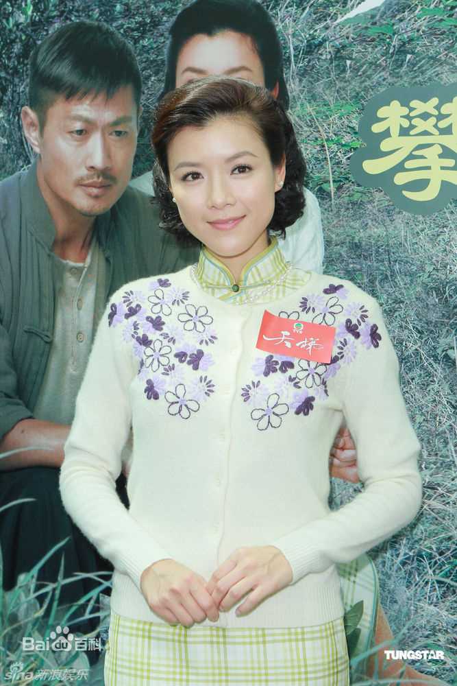 最全陈茵媺(Aimee Chan)精彩图册