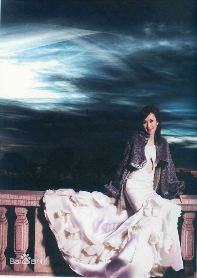 陈美琪(Maggie Chan)个人