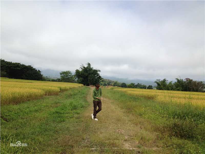 谭华(Tan Hua)导演图片图集