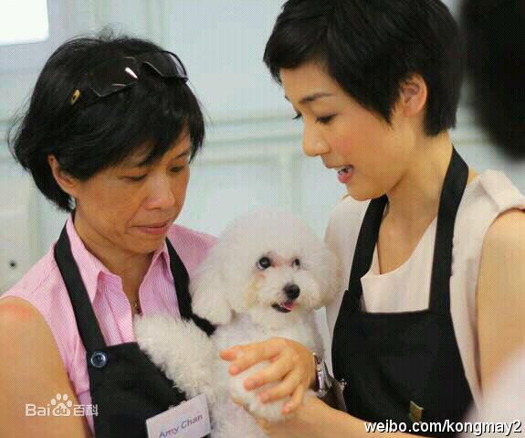 高清江美仪(Elena Kong)性感图片