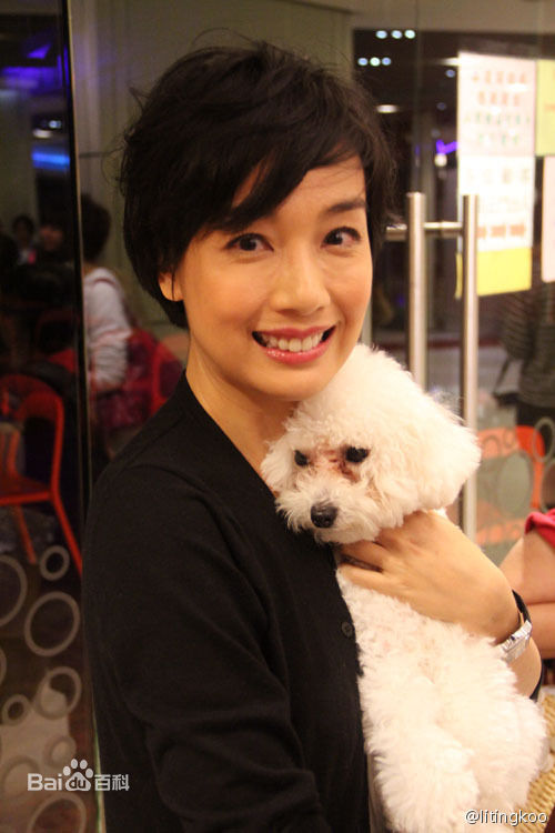 江美仪(Elena Kong)精彩图册