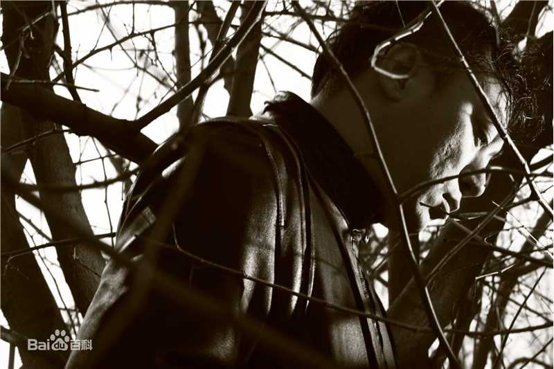 郑来志导演图片图集