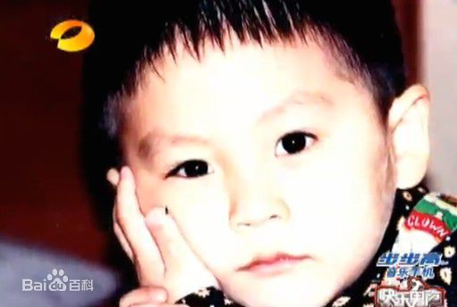 武艺(Philip Wu/Philip Lau)早年图片性感图片图集