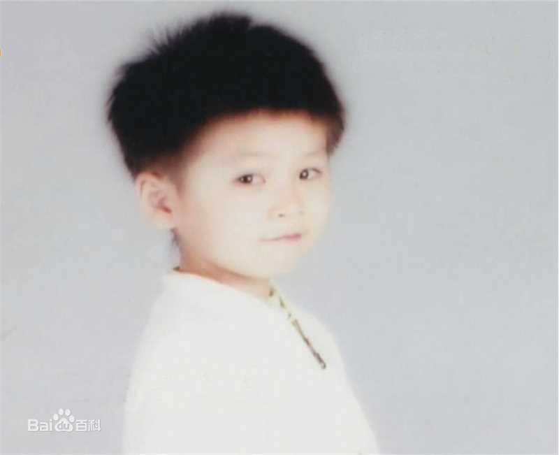 武艺(Philip Wu/Philip Lau)早年图片性感图片图集