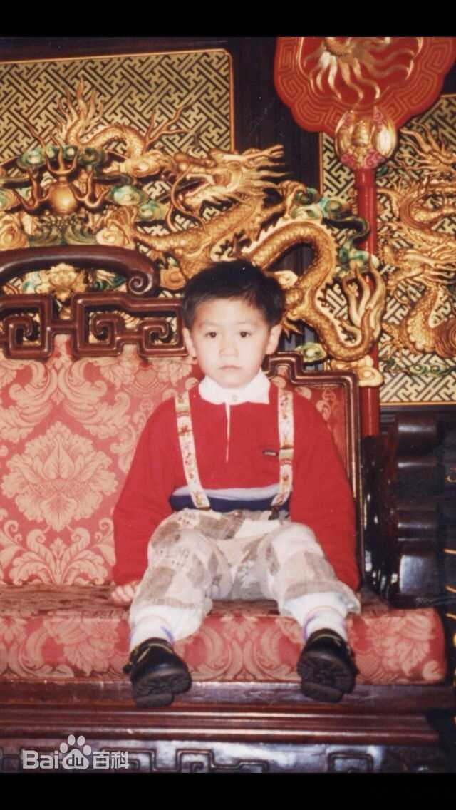 武艺(Philip Wu/Philip Lau)早年图片性感图片图集