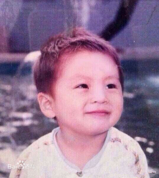 武艺(Philip Wu/Philip Lau)早年图片性感图片图集