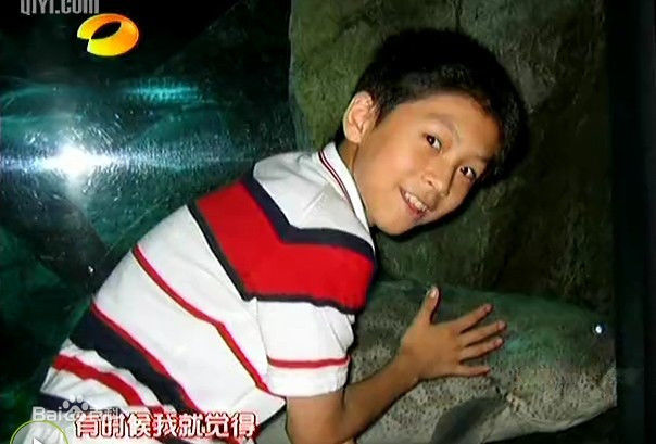 武艺(Philip Wu/Philip Lau)早年图片性感图片图集