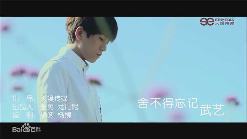 武艺(Philip Wu/Philip Lau)出演MV图集壁纸壁纸