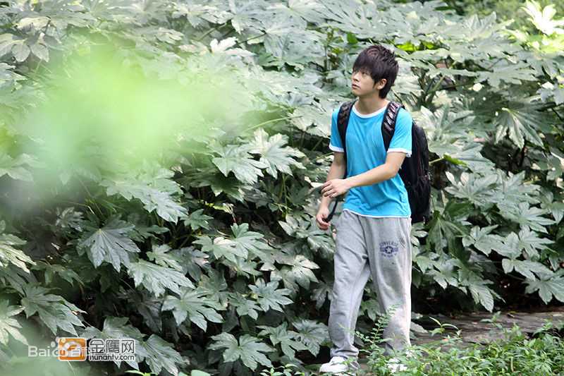 武艺(Philip Wu/Philip Lau)影视作品图集前后照片