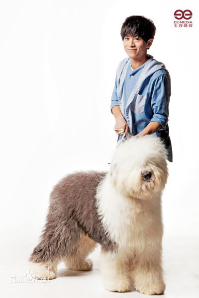 武艺(Philip Wu/Philip Lau)的异想世界图集生活照