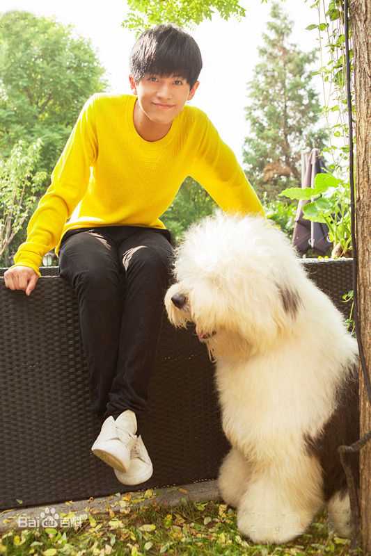 武艺(Philip Wu/Philip Lau)的异想世界图集生活照