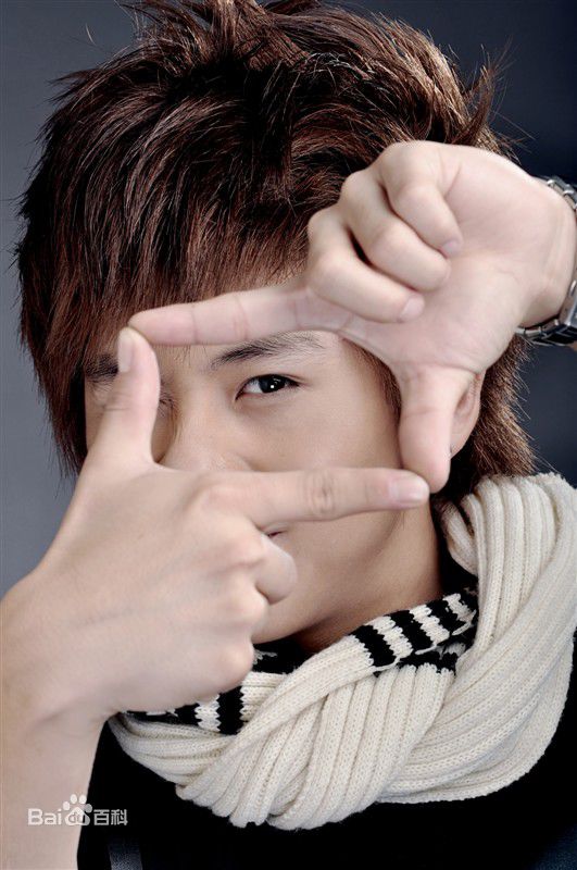 武艺(Philip Wu/Philip Lau)出道前图片素颜照相册