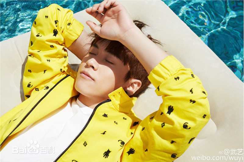 精选武艺(Philip Wu/Philip Lau)在《爱上你了》图册中的图册