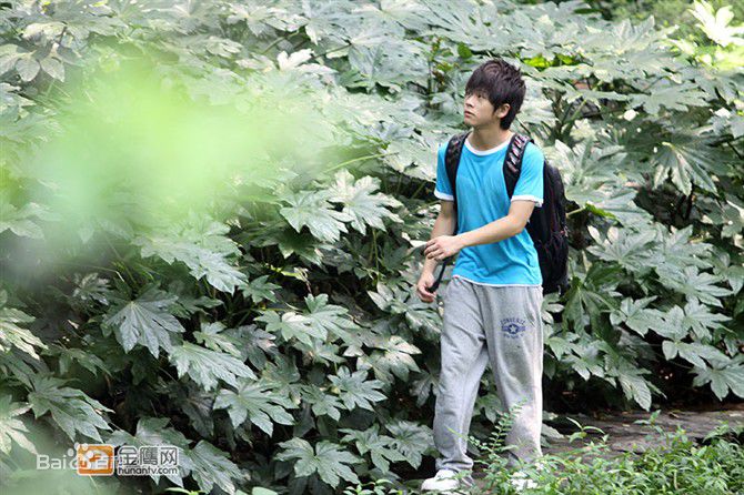 武艺(Philip Wu/Philip Lau)精彩图册