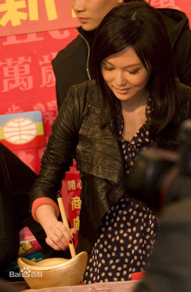 陈美诗(Macy Chan)我爱HK开心万岁图册