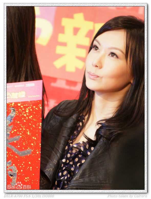 陈美诗(Macy Chan)我爱HK开心万岁图册