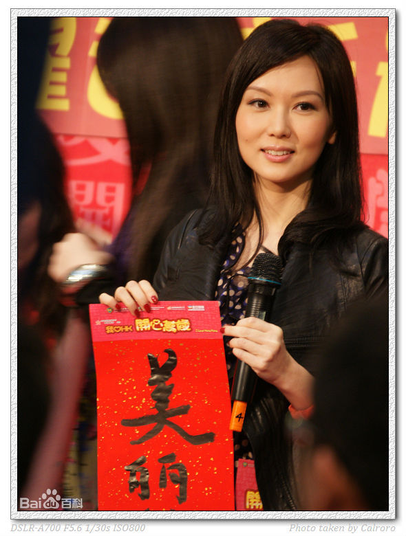 陈美诗(Macy Chan)我爱HK开心万岁图册