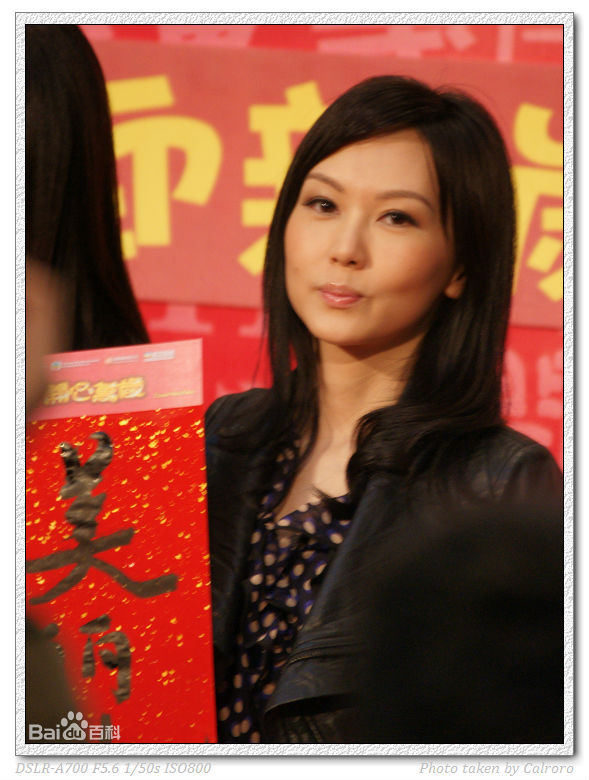 陈美诗(Macy Chan)我爱HK开心万岁图册