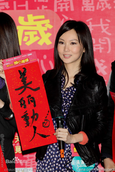 陈美诗(Macy Chan)我爱HK开心万岁图册