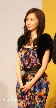 陈美诗(Macy Chan)香港潮流商品_广州_展览会图片图册