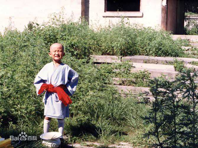 王子(prince)儿时的演出经历壁纸壁纸