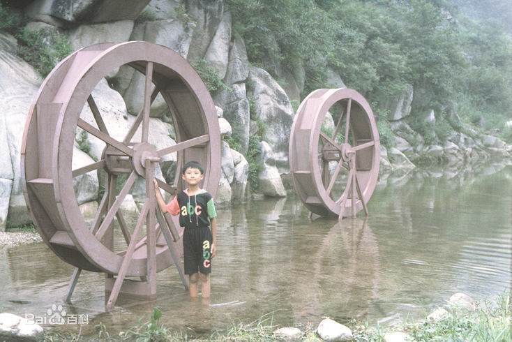 王子(prince)儿时的演出经历壁纸壁纸