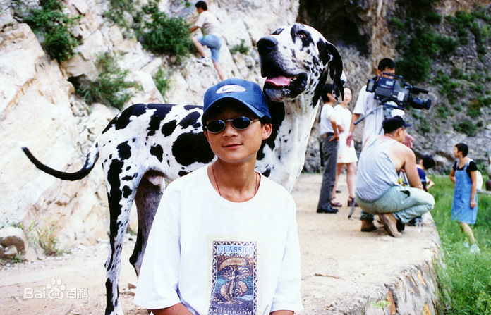 王子(prince)儿时的演出经历壁纸壁纸