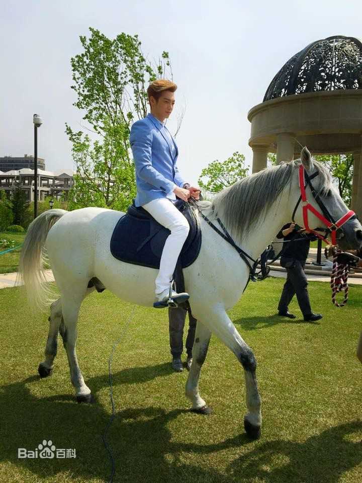 辰亦儒(Calvin)活动照壁纸壁纸