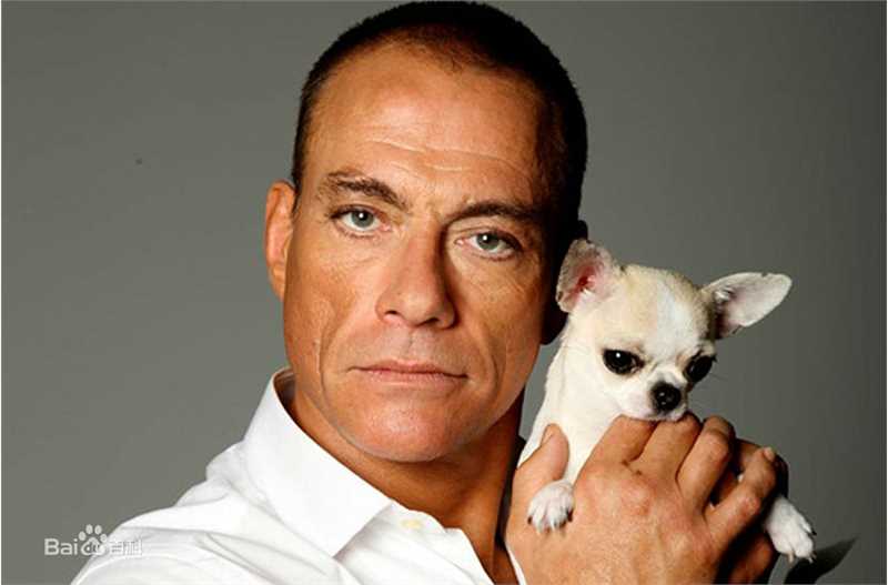 高清尚格云顿(jean-claude van damme)图片
