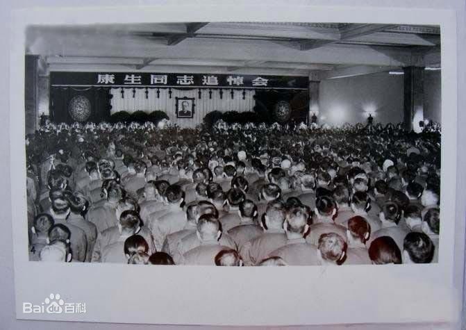 最全康生(KangSheng)壁纸