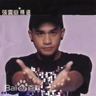 张震岳(Chang, Csun Yuk)专辑素颜照相册