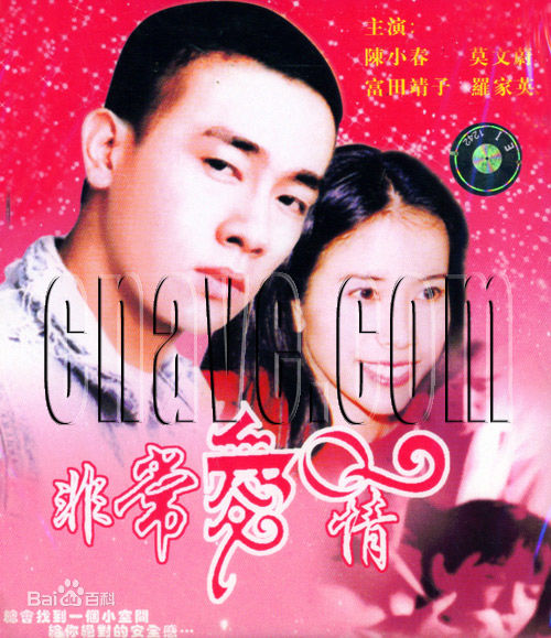 富田靖子(Tomita Yasuko)精选海报图册