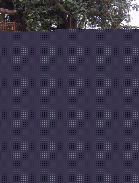 朱祺隆生活照性感图片图集