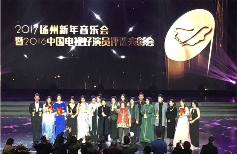 张建新2016年中国电视好演员评选图册